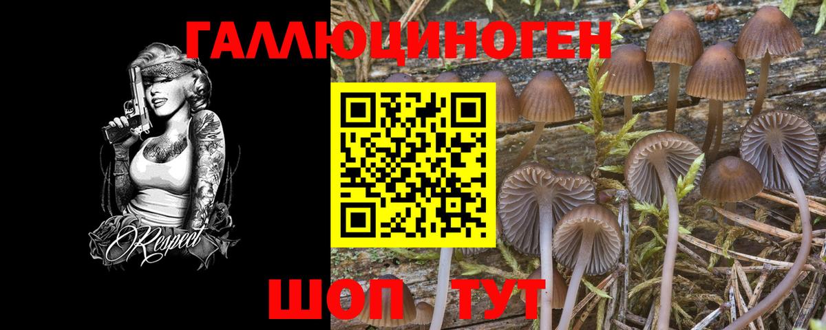 Галлюциногенные грибы мицелий Когалым